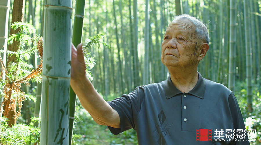 1710816716282728.jpg 制扇技藝 徐義林-1.jpg